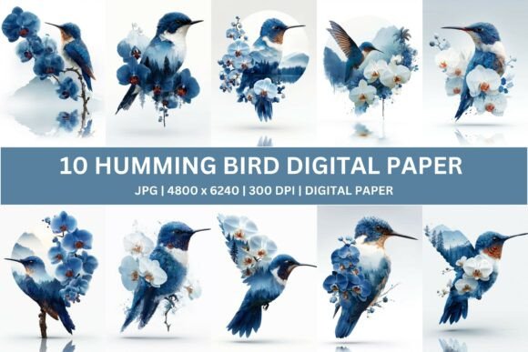 Download 10 Blue Orchid Hummingbird Digital Paper - Paper Collection